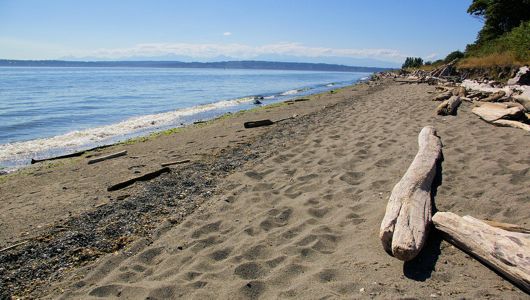 The beach at Discovery Park in Seattle is great for kids and families.