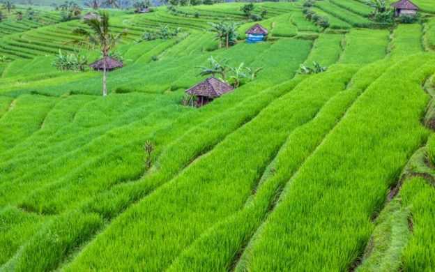 BEST HOTELS BALI  Luxury  5-Star  4-Star 
