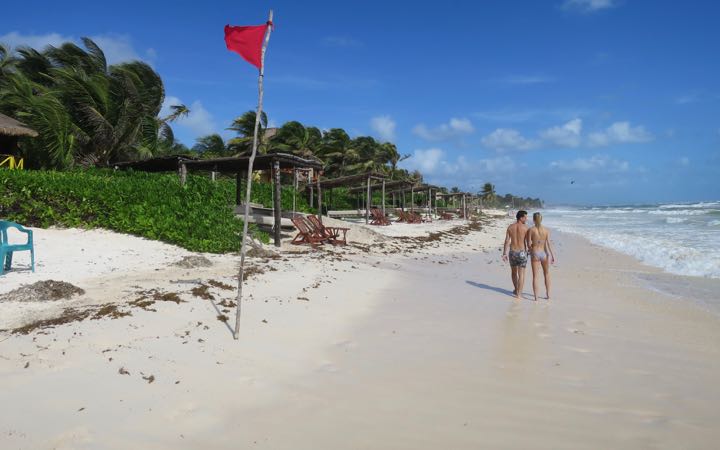 Seaweed on Beach near Tulum Hotels