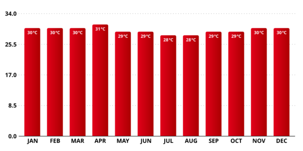 BEST TIME TO VISIT Bali - For weather, surf, nightlife, & honeymoon