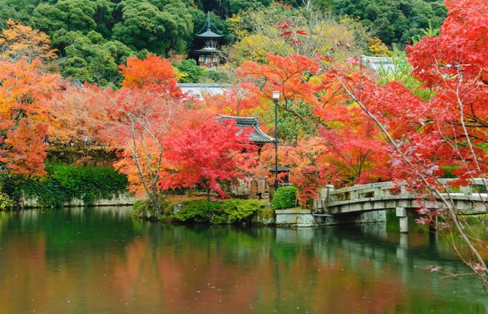 Kyoto's Eikando Temple is especially beautiful in the fall.