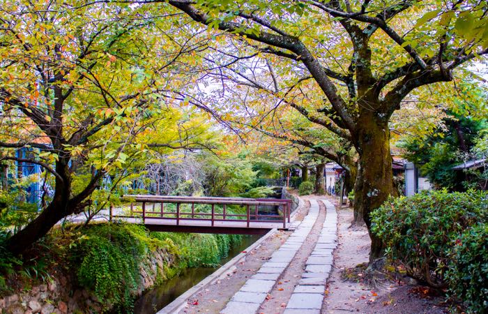 Philosopher's Path is a popular pedestrian escape in Kyoto, Japan