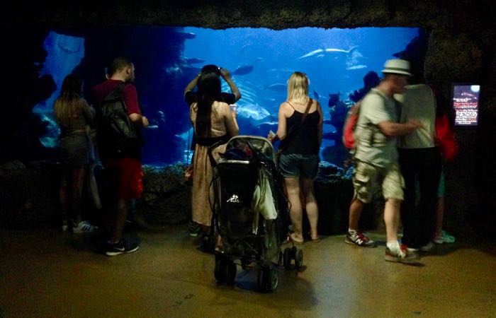 Popular British Aquarium