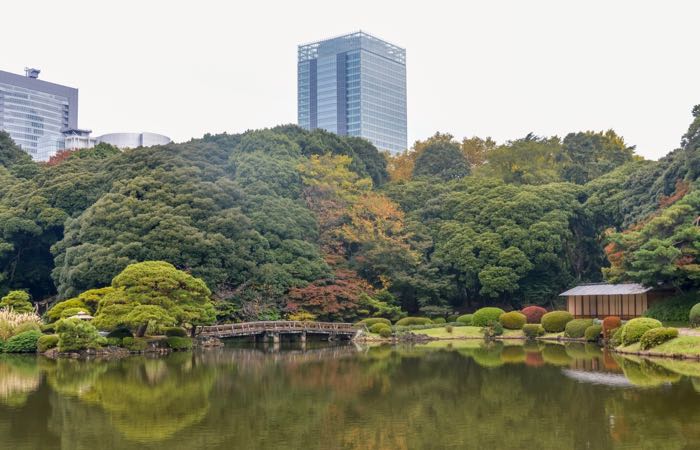 Shinjuku Gyoen National Garden is one of Tokyo's largest parks.