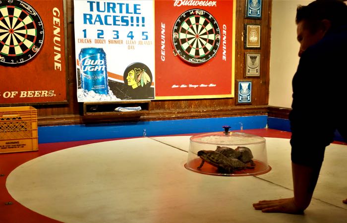 Friday night turtle racing at Big Joe's in Chicago.