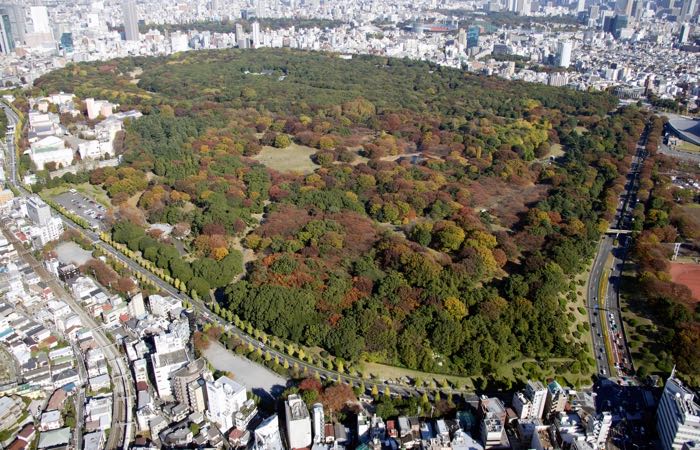 Yoyogi Park is a 133-acre green space in the middle of Tokyo.