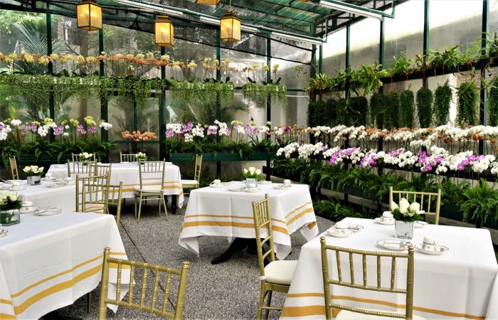 Experience tea in Kuala Lumpur's famous Majestic Hotel orchid conservatory.