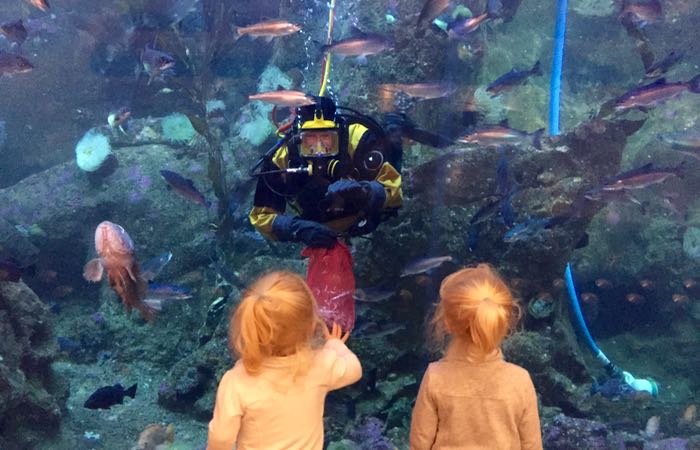 The Seattle Aquarium with kids