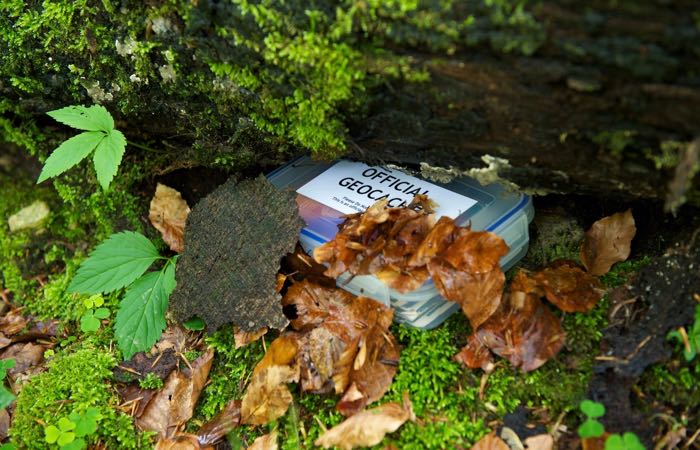 The best spots for geocaching in Seattle