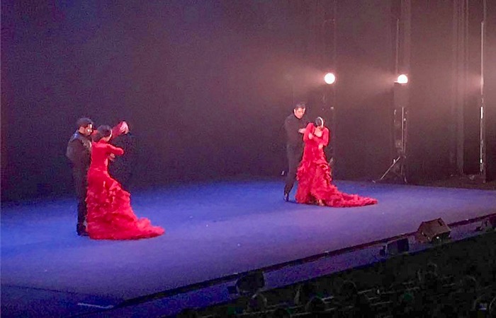Where to see a flamenco show in Madrid