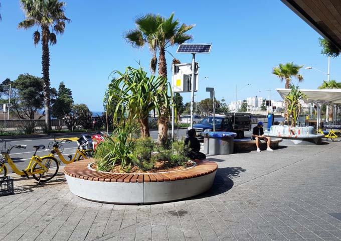 Shady esplanade near Hotel Bondi and the beach