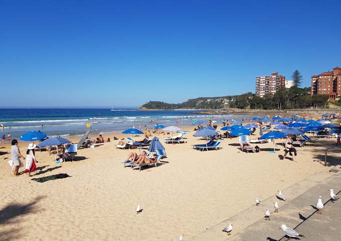 One of Australia's famous beaches, Manly Beach