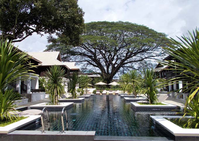 100-year old Rain Tree near the saltwater pool at Na Nirand Resort