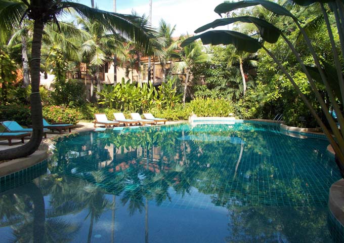 Shaded pool and jungle vibe at Rabbit Resort