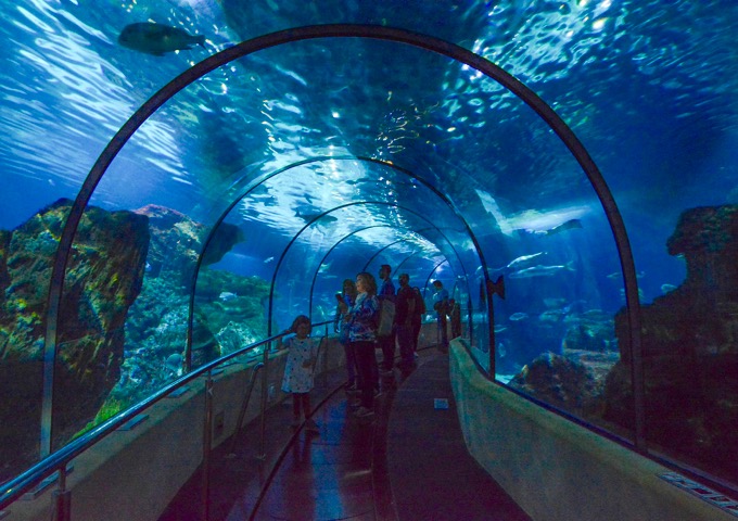 Visiting the Barcelona Aquarium