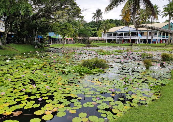 Art Village nearby features a lily pond, cafes and shops.