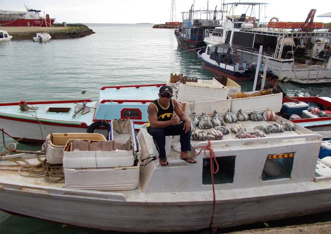 The harbour features fish markets each morning.