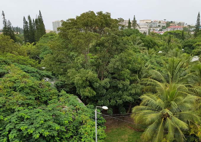 Front-facing rooms have views of the hospital gardens.