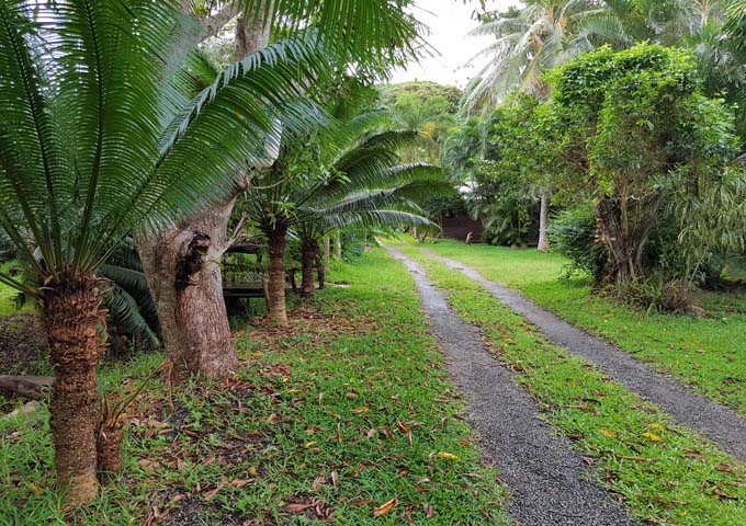 A grassy path leads to the bungalows.