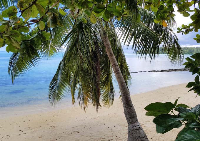 The lodge beach offers good shade and views.