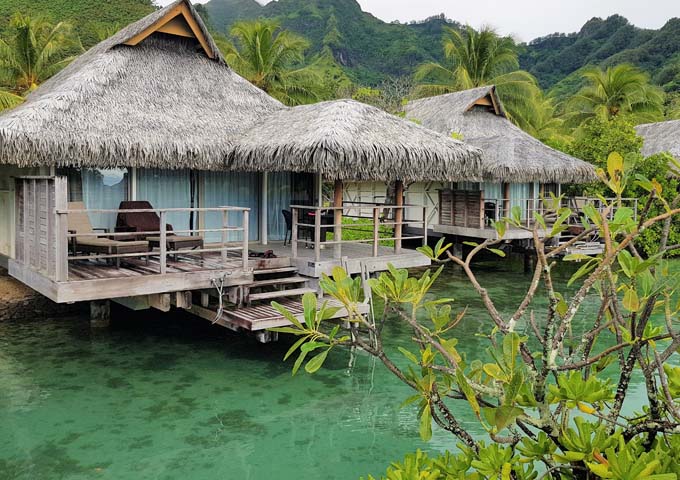 Secluded and spacious Beach Bungalows have a devine setting.