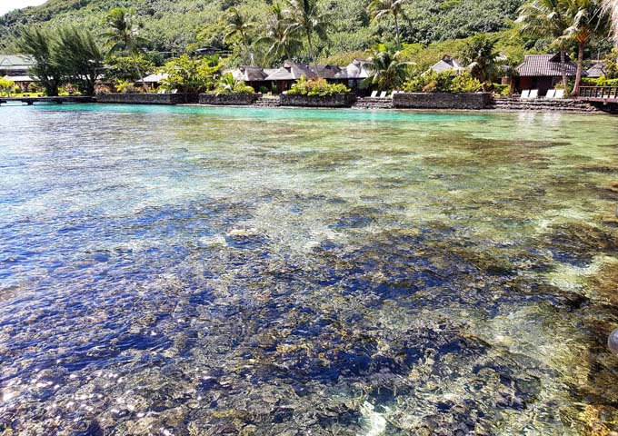 Snorkelling is popular due to the coral around the hotel.