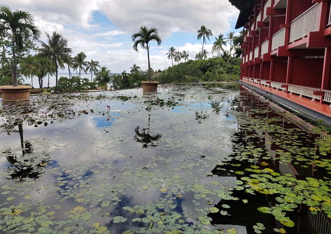 Many rooms face large ponds.