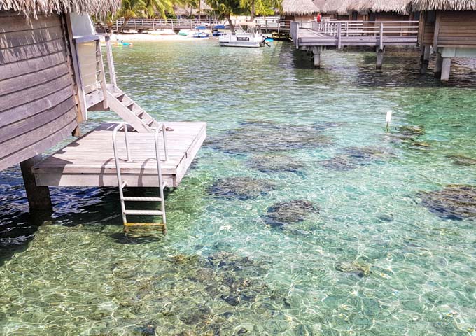 The sundeck of the Overwater Bungalows has a ladder going into the water.