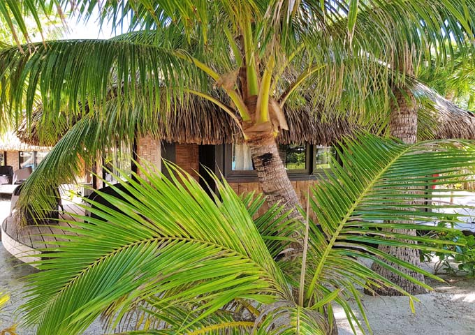 Beach Bungalows are located in shady gardens.