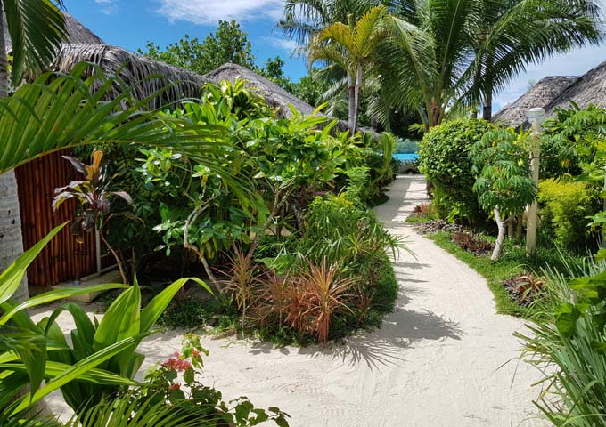 A sandy garden path leads to the beach.