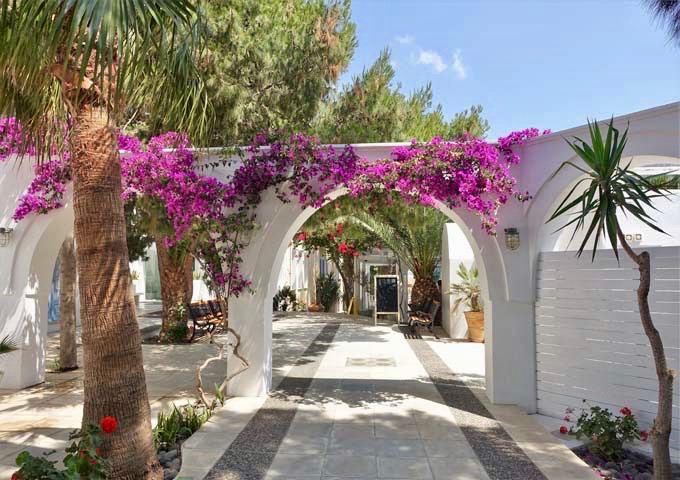 The hotel has abundant bougainvillea, palm trees, and flowering plants.