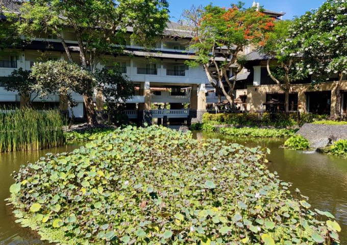The resort gardens are full of ponds.