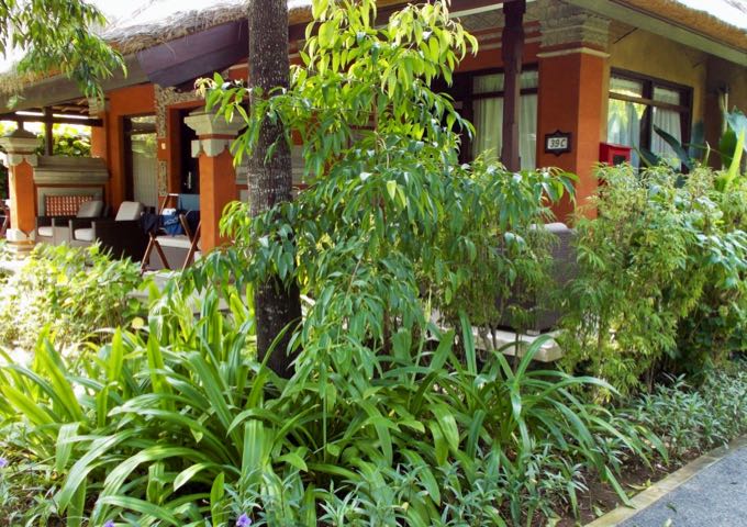 The spacious villas are surrounded by dense foliage.