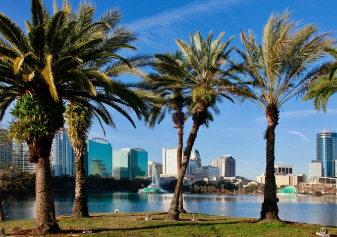 Palm trees in front of a lake and a city skyline