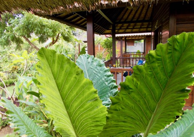 The lush green gardens offer a lot of shade and some privacy.