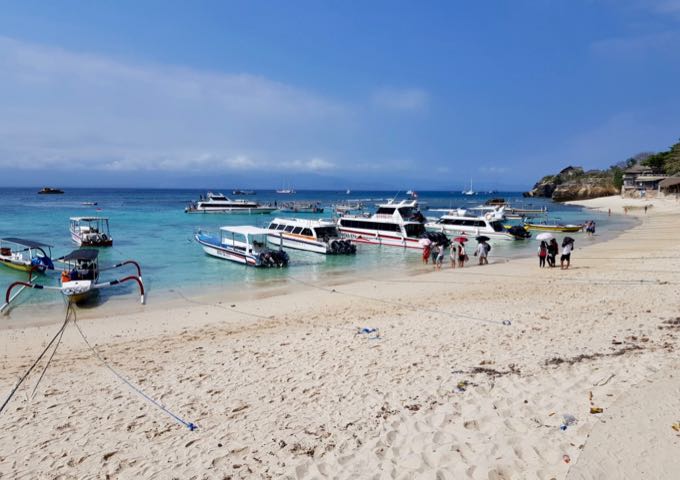 The beach at Mushroom Bay is safer to swim and snorkel.