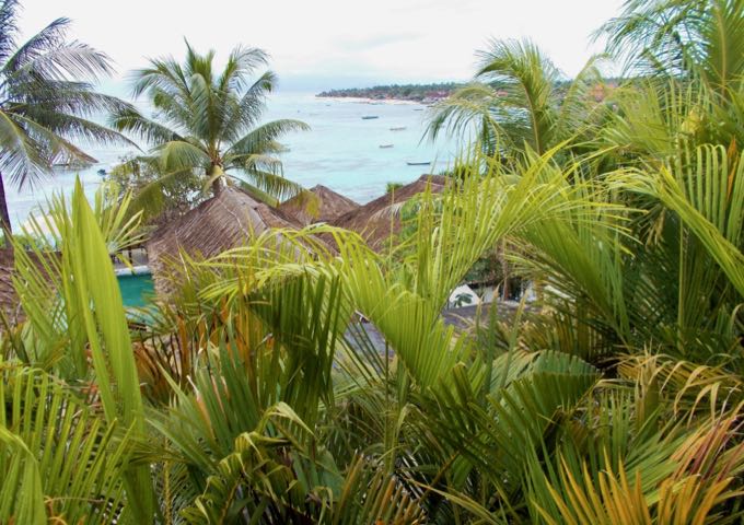Views from accommodations are blocked by trees and other villas.