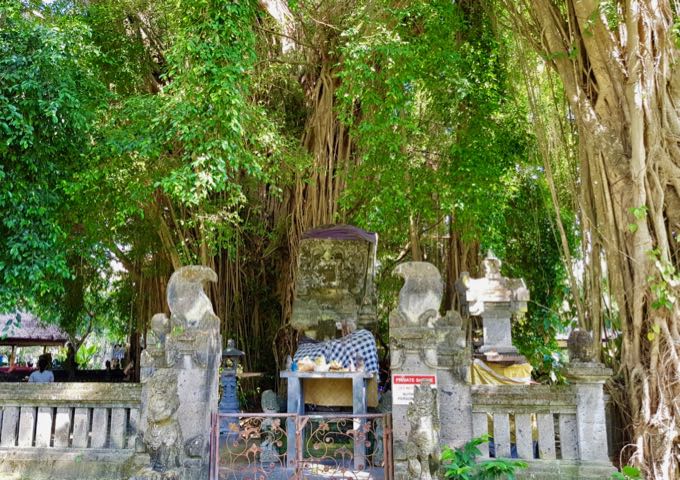 One of Sanur's oldest resorts, it features a huge banyan tree on its grounds.