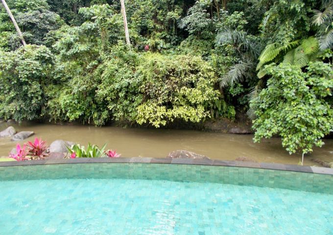 The pool offers stunning views of the river and forest.