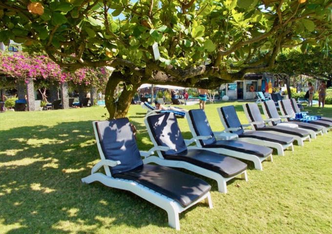 The resort offers several lounge chairs and plenty of shade.