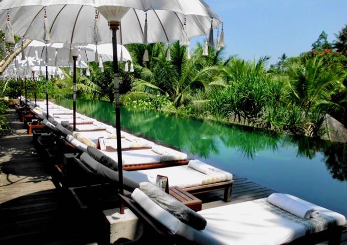 The infinity pool blends into the rice fields and forest.