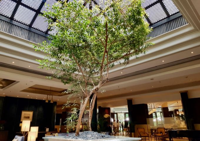 The huge lobby features a skylight and tree.