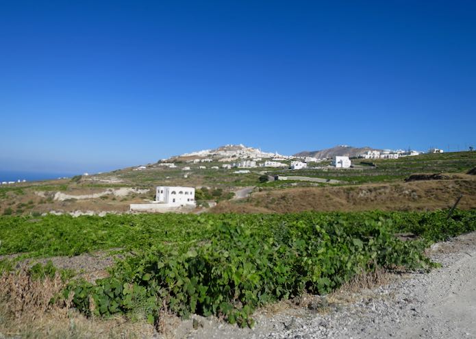 Beautiful Santorini View and Winery.