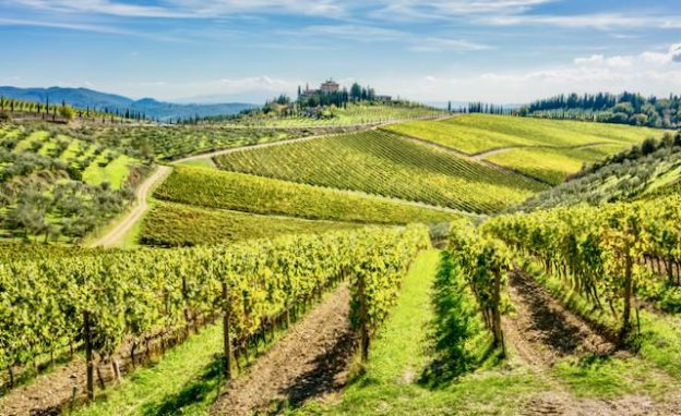 wine tour from florence