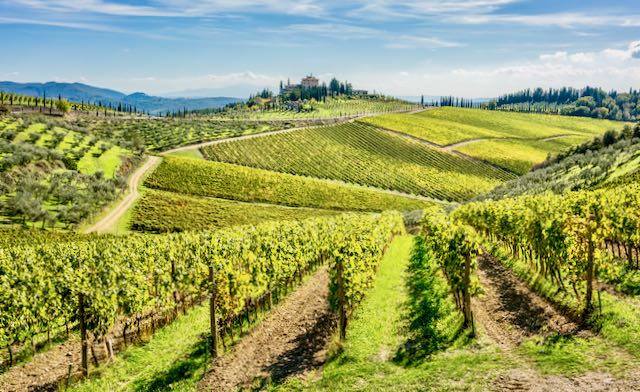 best wine tours tuscany from florence