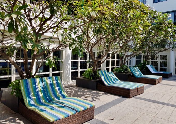 The sunbeds and trees offer a tropical vibe.