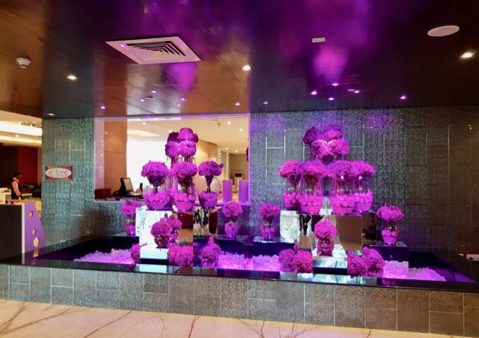 The lobby features funky decor with purple lights.