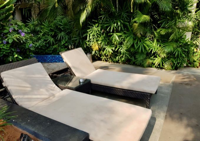 The pool deck has several sunbeds and tropical plants.