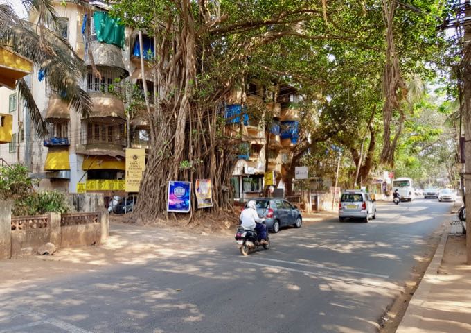 The hotel is located in north Candolim.