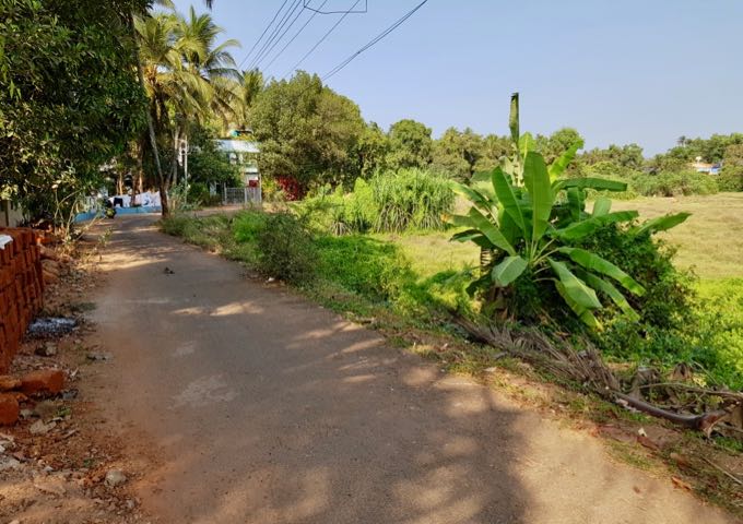 There are coconut plantations and villages around the guesthouse.